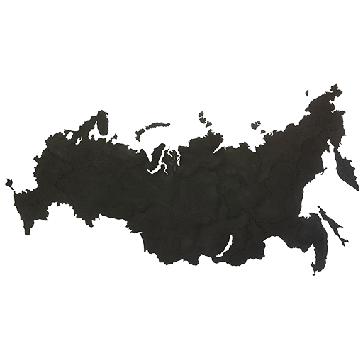 svg icon